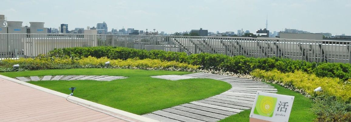 緑豊かな庭園