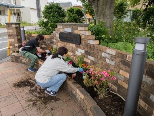 庭の花植え作業  