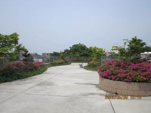 花壇のある屋上庭園  