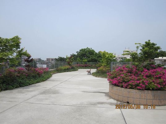 花壇のある屋上庭園  