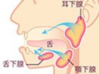 広々としたリビング