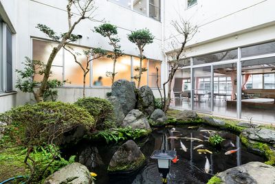 緑豊かな中庭