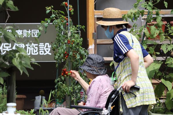 屋外での植物の世話