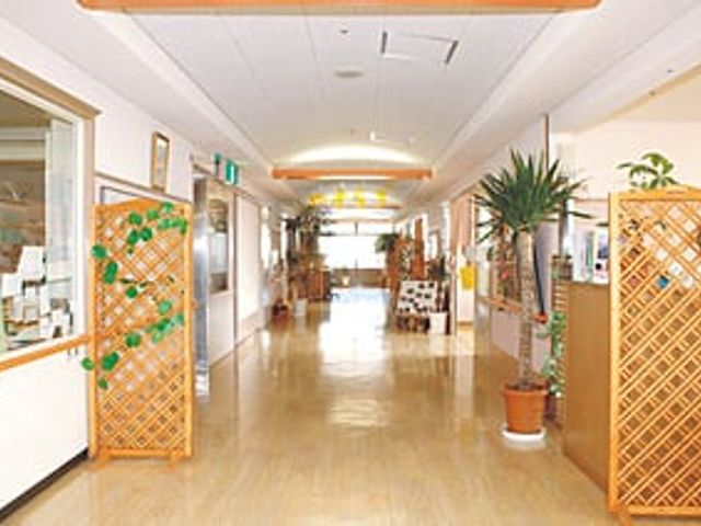 開放感のある廊下 廊下 広々とした廊下は、自然光が差し込み明るい空間です。飾り棚と観葉植物が心を和ませます。