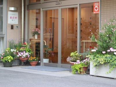 エントランス周辺の植物