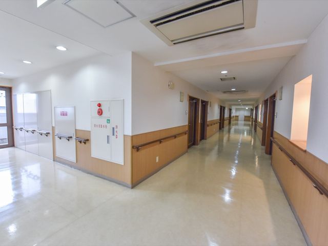 清潔な廊下の様子 廊下  手すり沿いの広々とした通路は、明るさと清潔さが保たれており、快適な動線が確保されています。