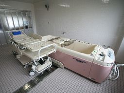 清潔な浴室の特殊浴槽