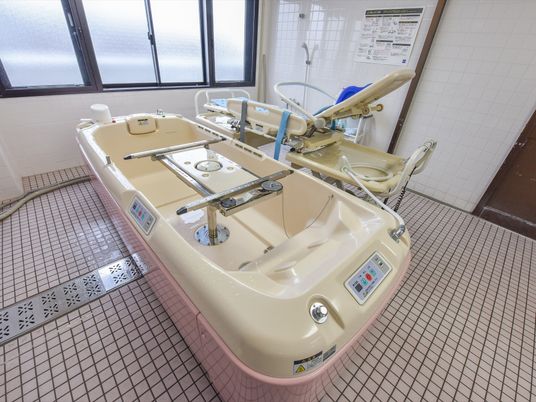  機能的な設備の浴室  
