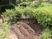 中庭の植栽  