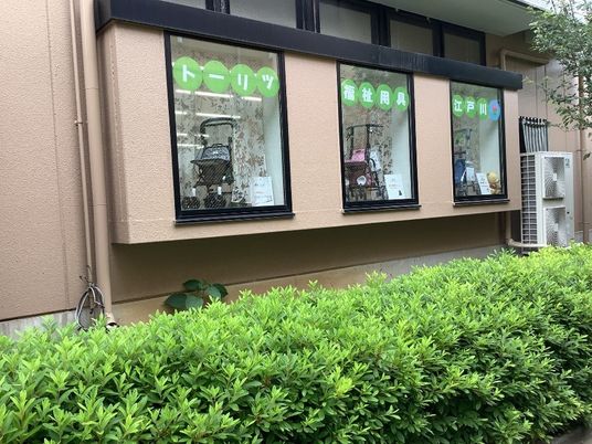 明るい外観の窓越し展示  