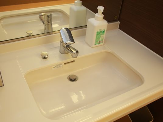 鏡の前に白い洗面台が設けられている。鏡の手前にはポンプ式のボトルが置かれており、手洗器の下にはごみ箱が見える。