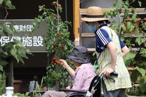 屋外でのガーデニング活動