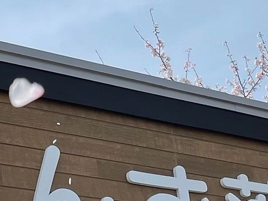 桜が見える施設外観  