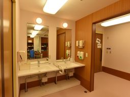 清潔な洗面スペース