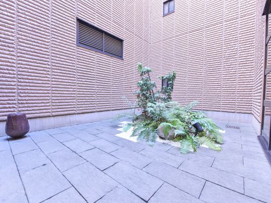 中庭の植栽とタイル