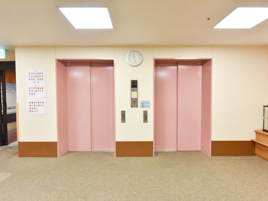 施設の写真 クリーム色の壁にピンク色のエレベーターが2台並んでいる。真ん中にボタンがあり頭上には時計もかかっている。
