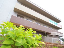 緑豊かな外観の建物