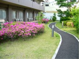 緑豊かな中庭の風景