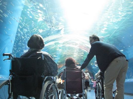 水族館のトンネル通路