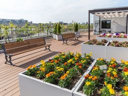 屋上庭園の景観
