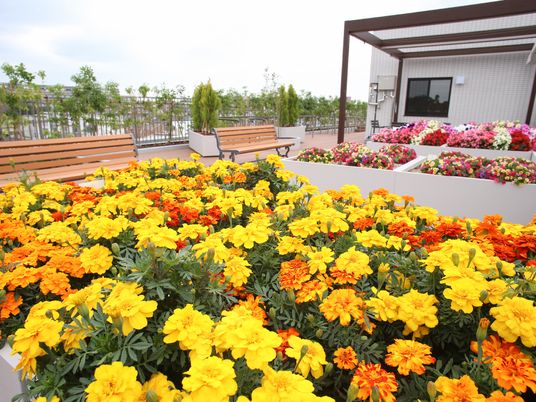 花が咲き誇る屋上庭園