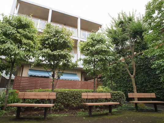 緑豊かな外観
