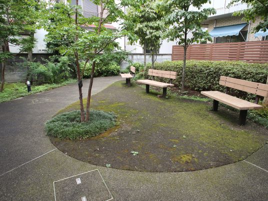 中庭の緑とベンチ