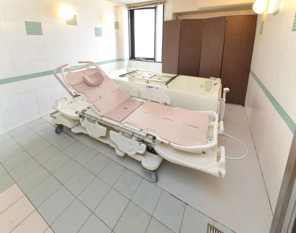 衛生的な浴室の特殊浴槽