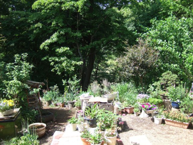 緑あふれる庭 庭 自然豊かな庭で、色とりどりの植物が育つ快適な空間です。くつろぎの時間を楽しめます。