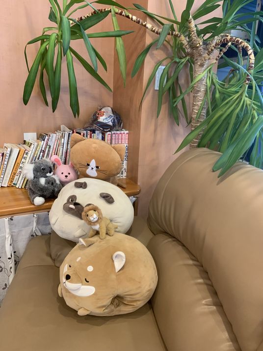 クッションのあるラウンジ