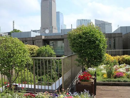 緑のある屋上庭園  