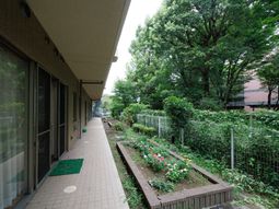 緑に囲まれた廊下