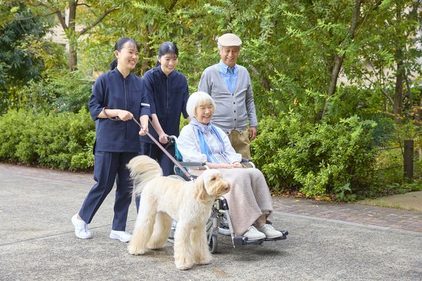 楽しむ庭