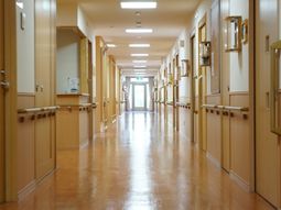 明るい廊下の光景