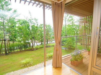 緑豊かな中庭の眺め