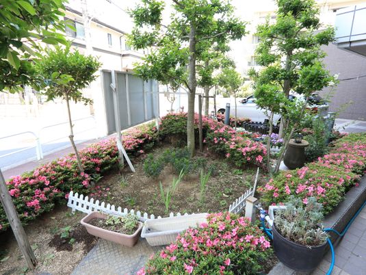 緑豊かな小さな中庭