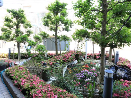 庭園と植物