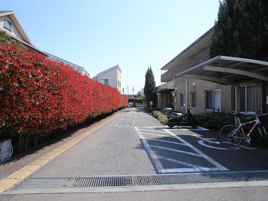 赤い花の咲く施設外観