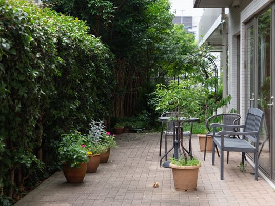 緑豊かな中庭スペース