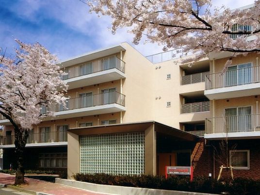 桜に囲まれた外観  