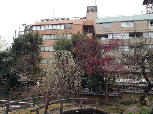 建物外観と庭