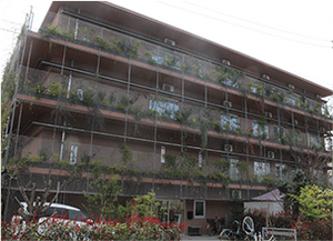 緑豊かな建物の外観