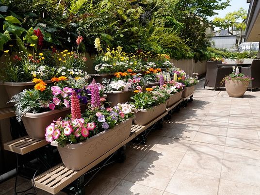 施設の写真 マリーゴールドやペチュニアなど様々な種類の花が咲いているカラフルなプランターが複数置かれている。