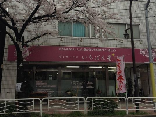 桜に囲まれた外観  