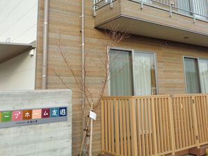 施設の外観  