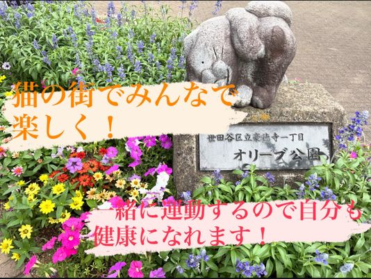 花壇のある庭