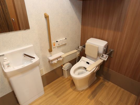 トイレには背もたれと両脇にひじ掛けが設置されている。壁には手すり、ナースコールが取り付けられている。また洗面台が置いてある。