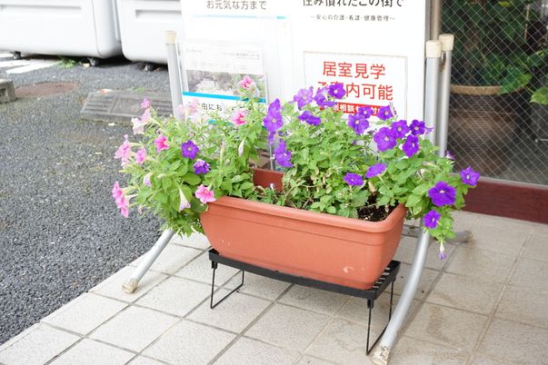 花と看板のエントランス