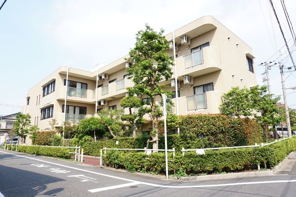 緑に囲まれた明るい建物