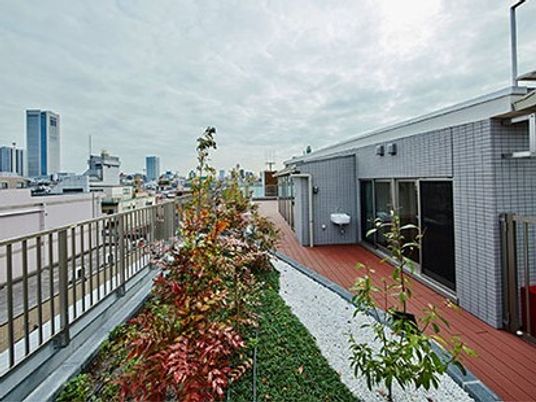 屋上庭園の明るい景色
